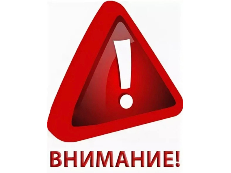 Федеральный закон Российской Федерации от 19 июня 2004 г. N 54-ФЗ О собраниях, митингах, демонстрациях, шествиях и пикетированиях.